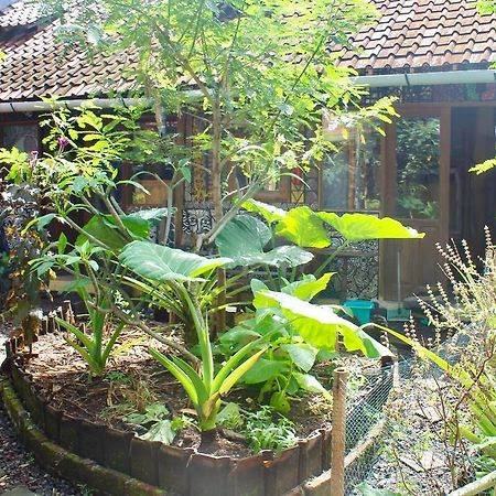 Farmer'S Yard Hostel 캉구 외부 사진