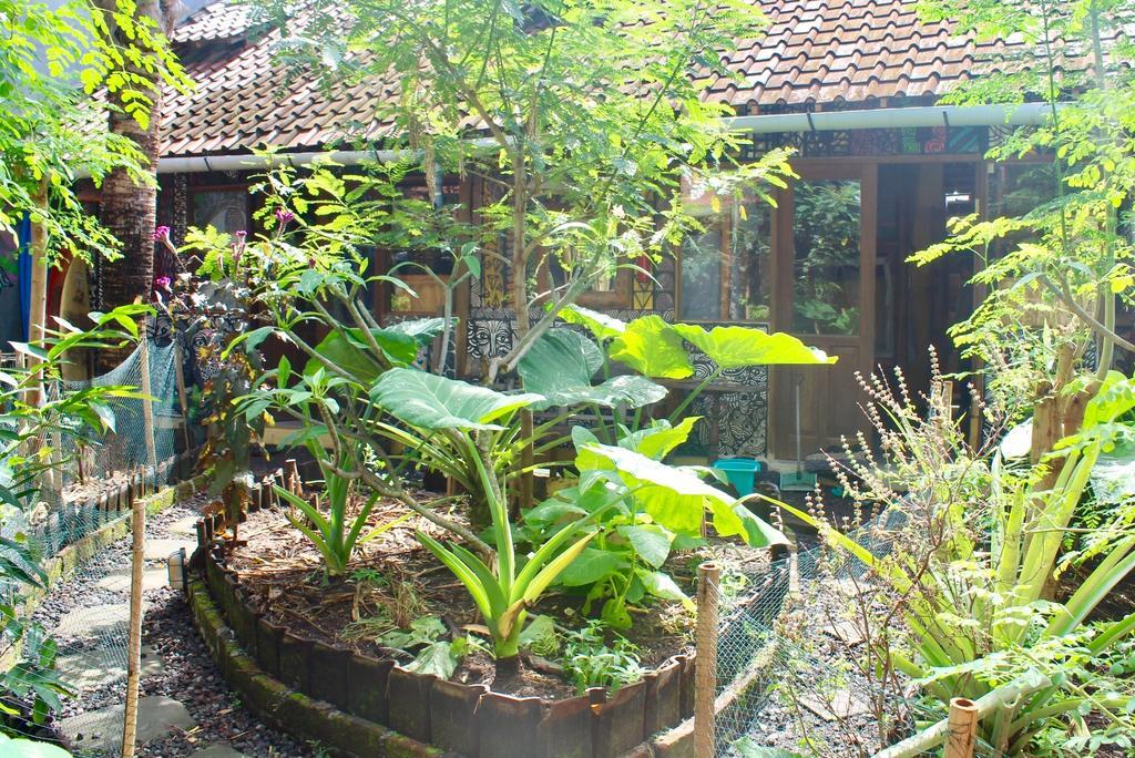 Farmer'S Yard Hostel 캉구 외부 사진